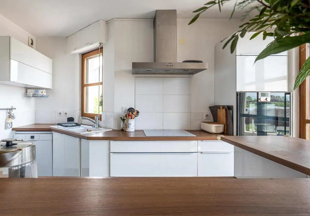 Le Charles Albert Annecy Apartment