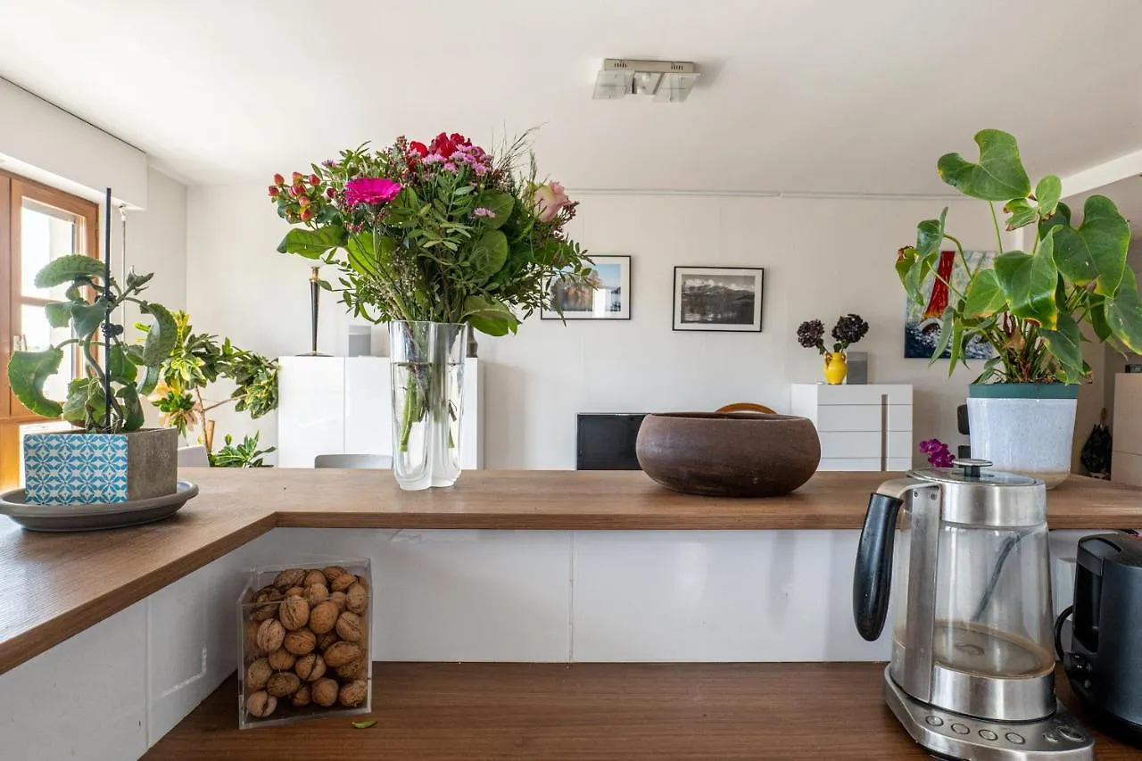 Le Charles Albert Annecy Apartment